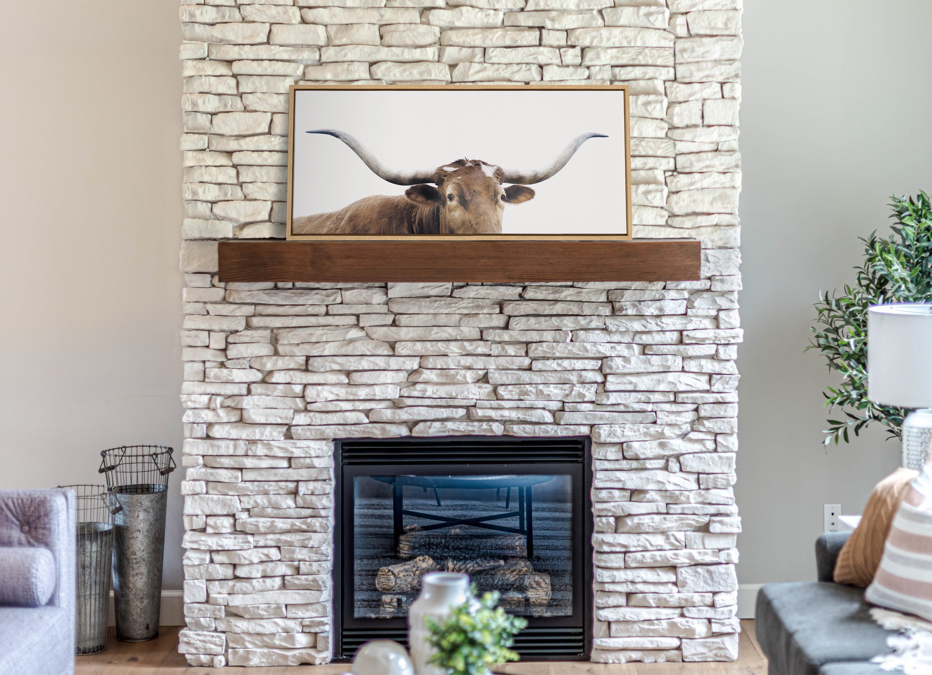 Sylvie Texas Longhorn Framed Canvas by kateandlaurel - product image 11 for Resin Society