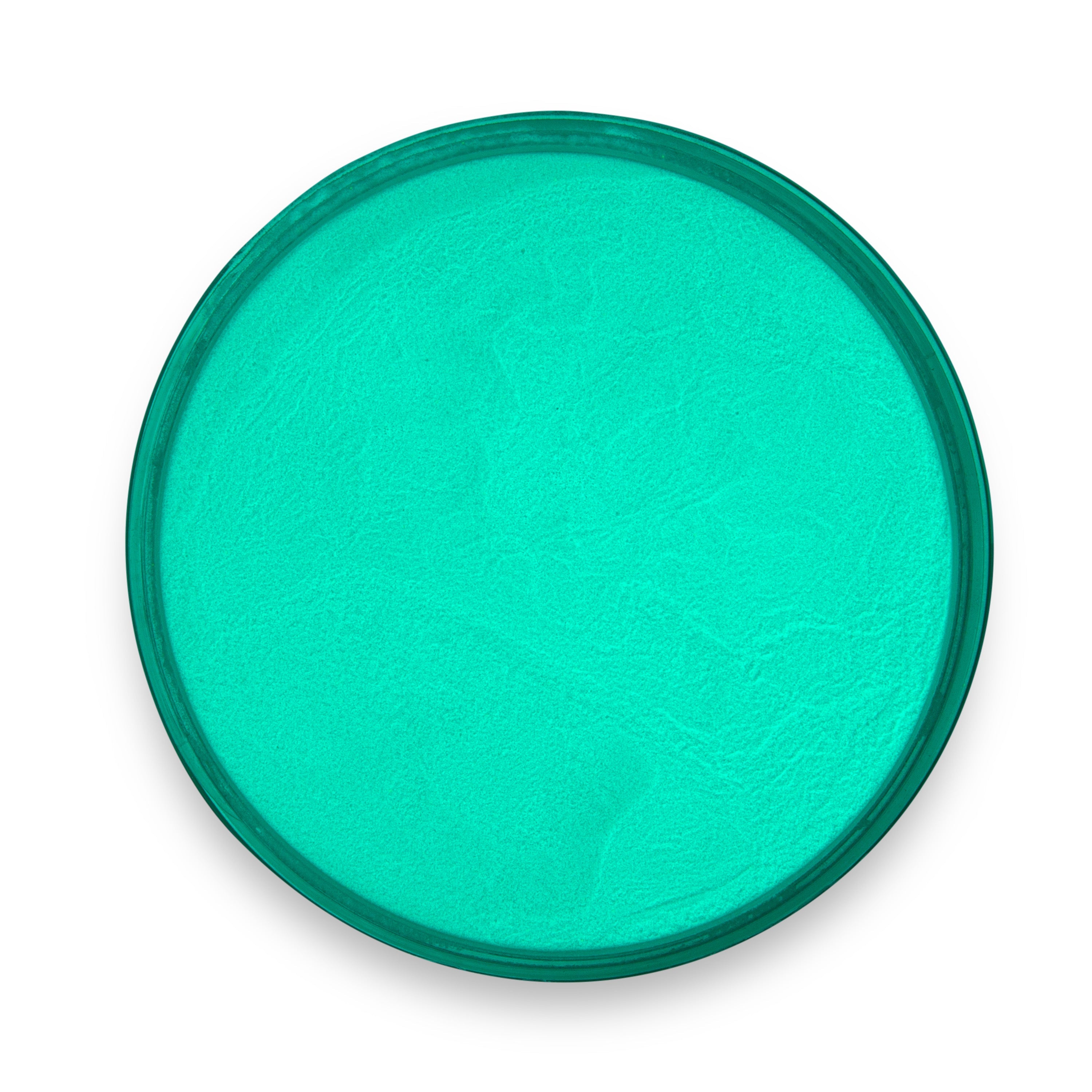 Green circular object on a white background