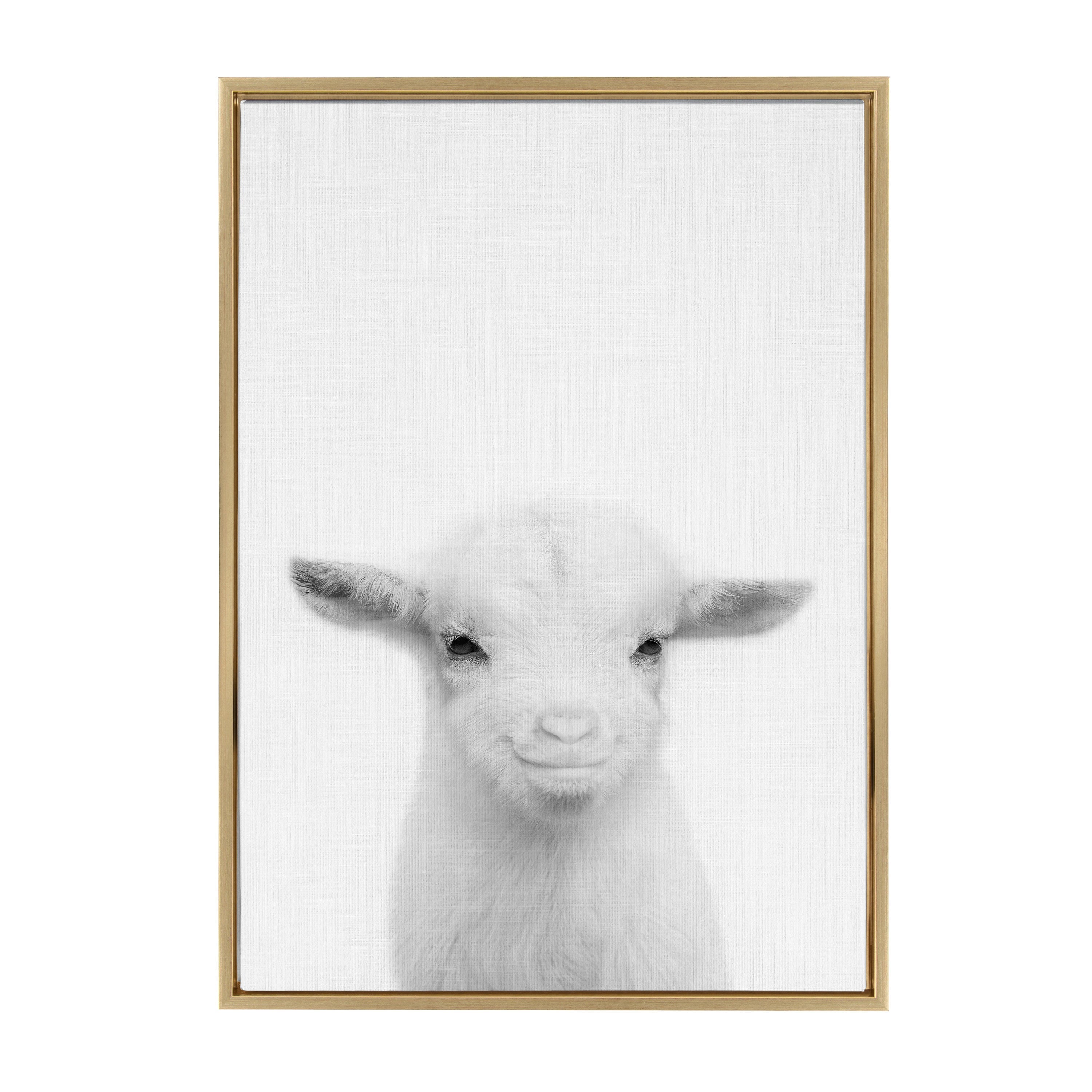 Sylvie Baby Goat Framed Canvas by Simon Te Tai by kateandlaurel - product image 7 for Resin Society