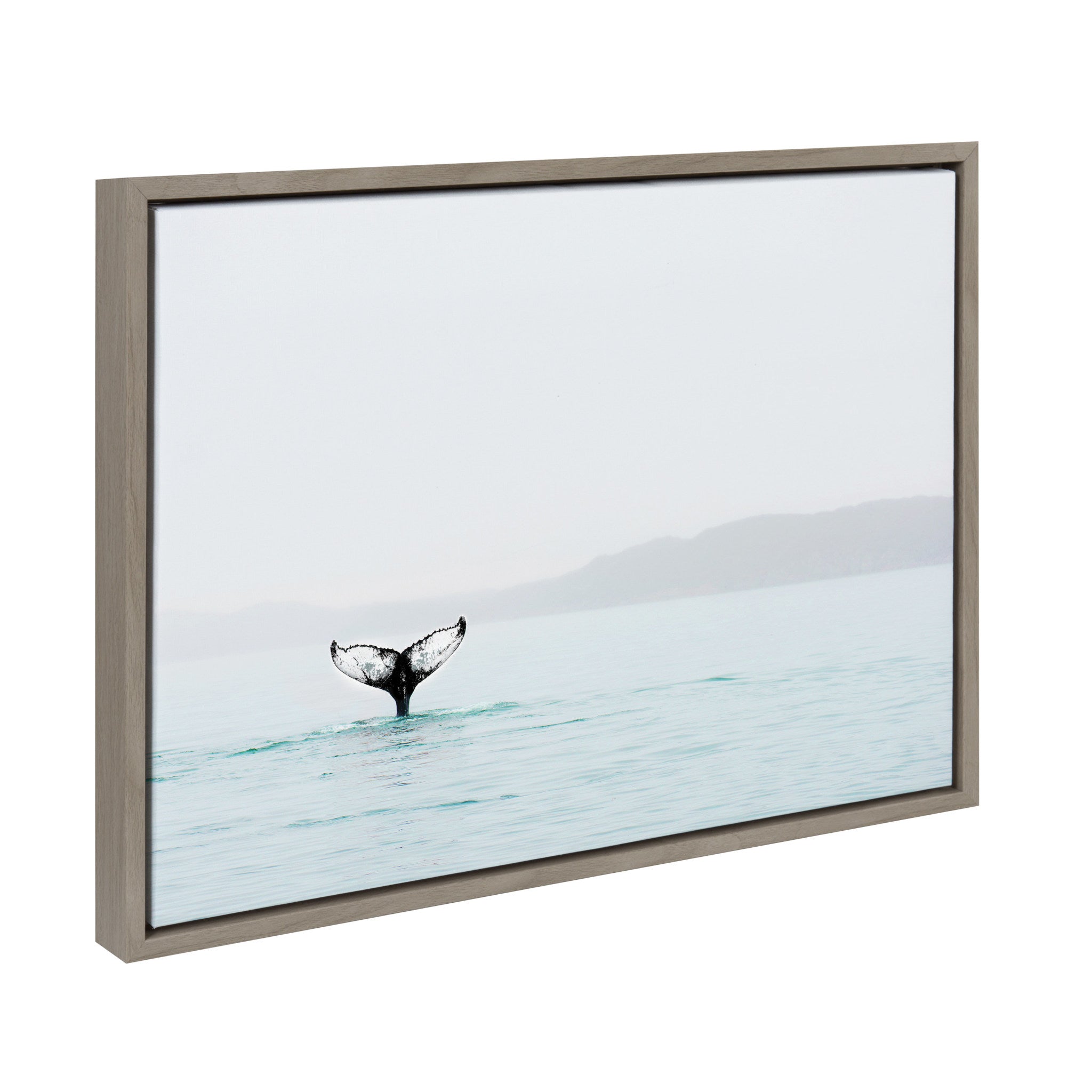 Sylvie Whale Tail In The Mist Framed Canvas by Amy Peterson by kateandlaurel - product image 2 for Resin Society