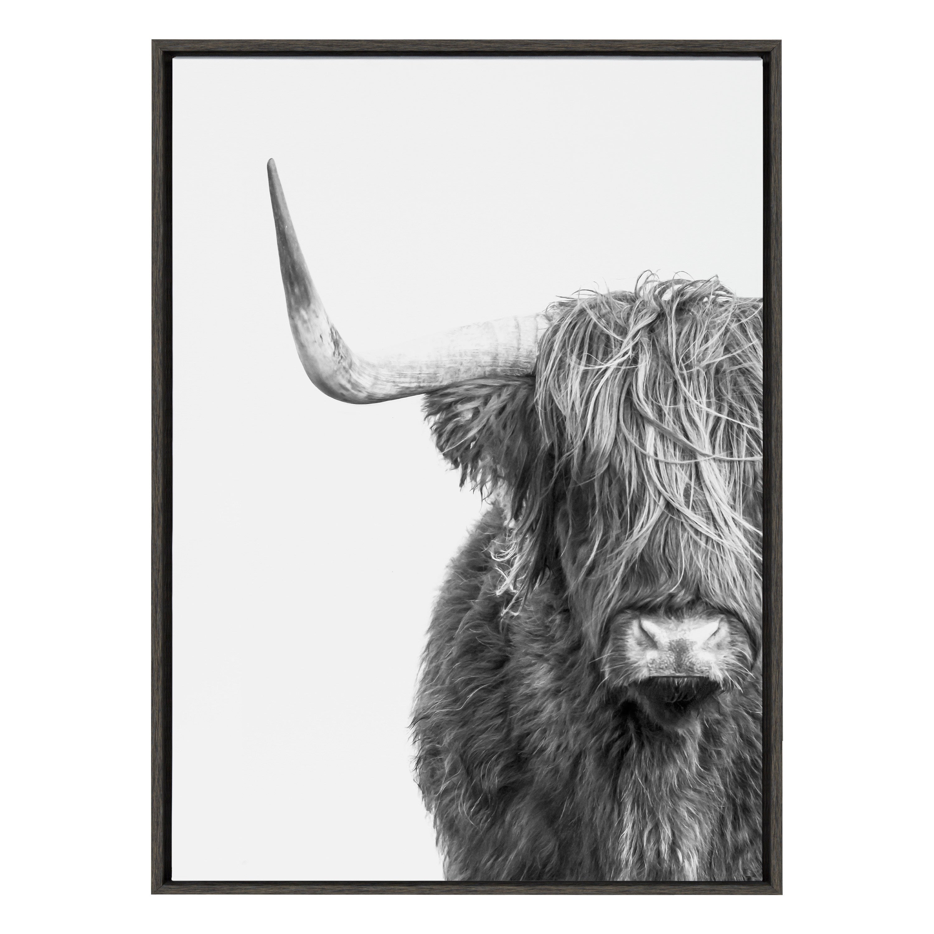 Sylvie B&W Highland Cow No. 1 Framed Canvas by Amy Peterson Art Studio