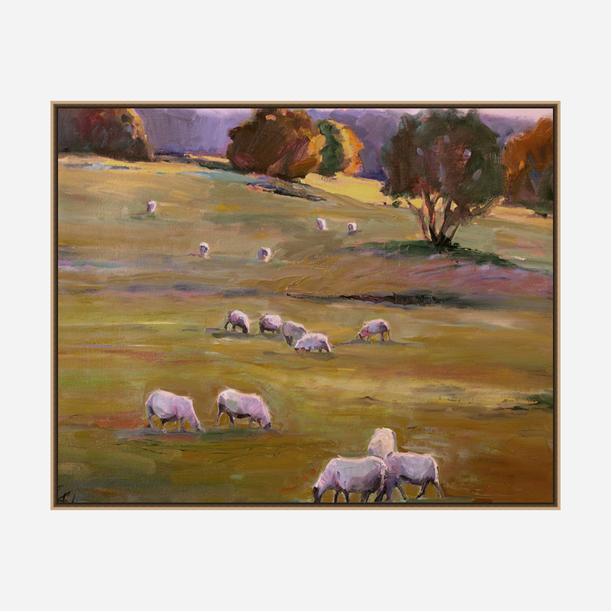 Grazing at Sunset Artist Enhanced Canvas Print by John Beard Collection - product image 8 for Resin Society