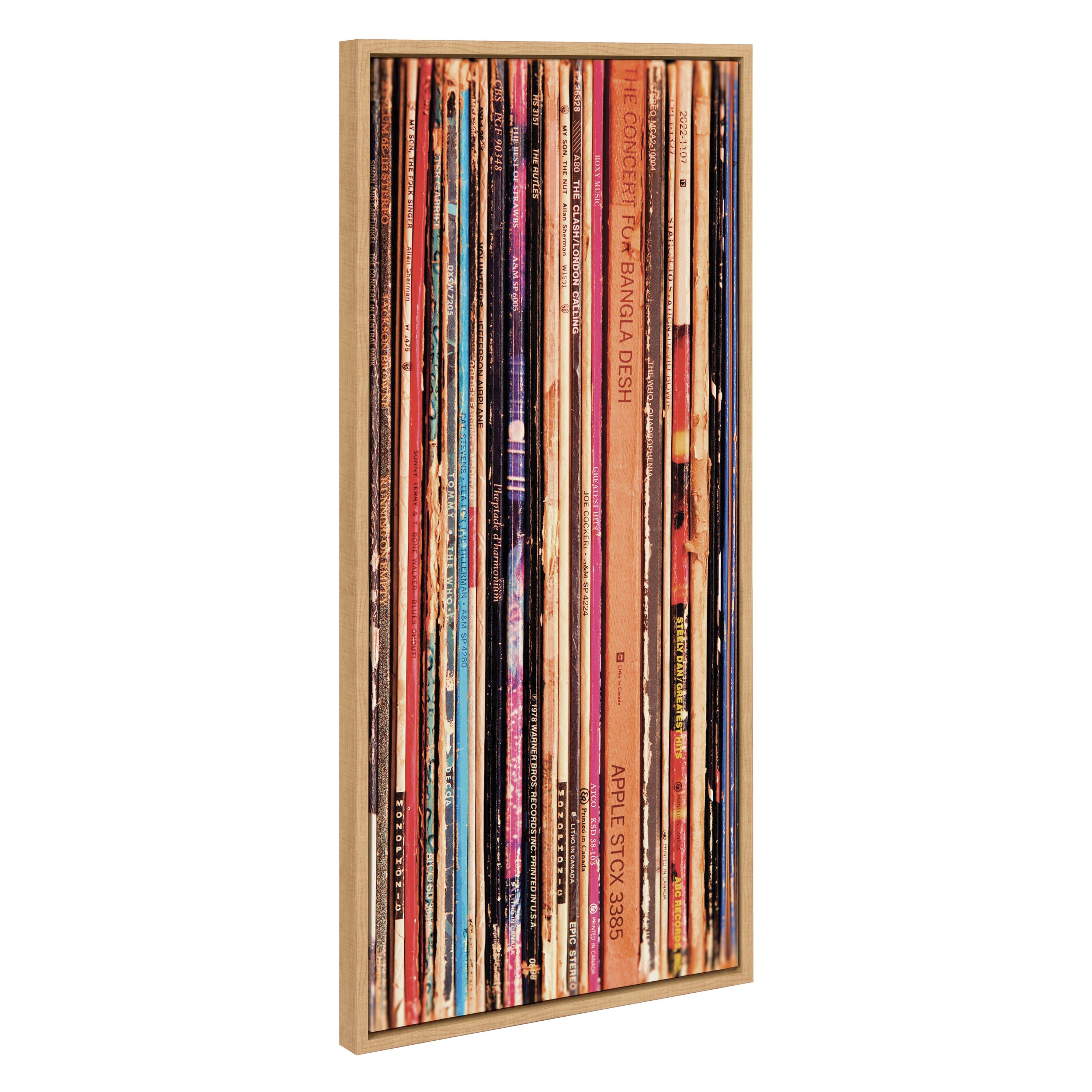 Sylvie Records Framed Canvas by Robert Cadloff of Bomobob by kateandlaurel - product image 6 for Resin Society
