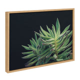 Sylvie Succulent 13 Framed Canvas by kateandlaurel - product image 2 for Resin Society