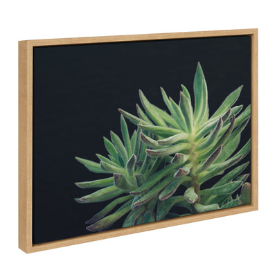 Sylvie Succulent 13 Framed Canvas by kateandlaurel - product image 2 for Resin Society