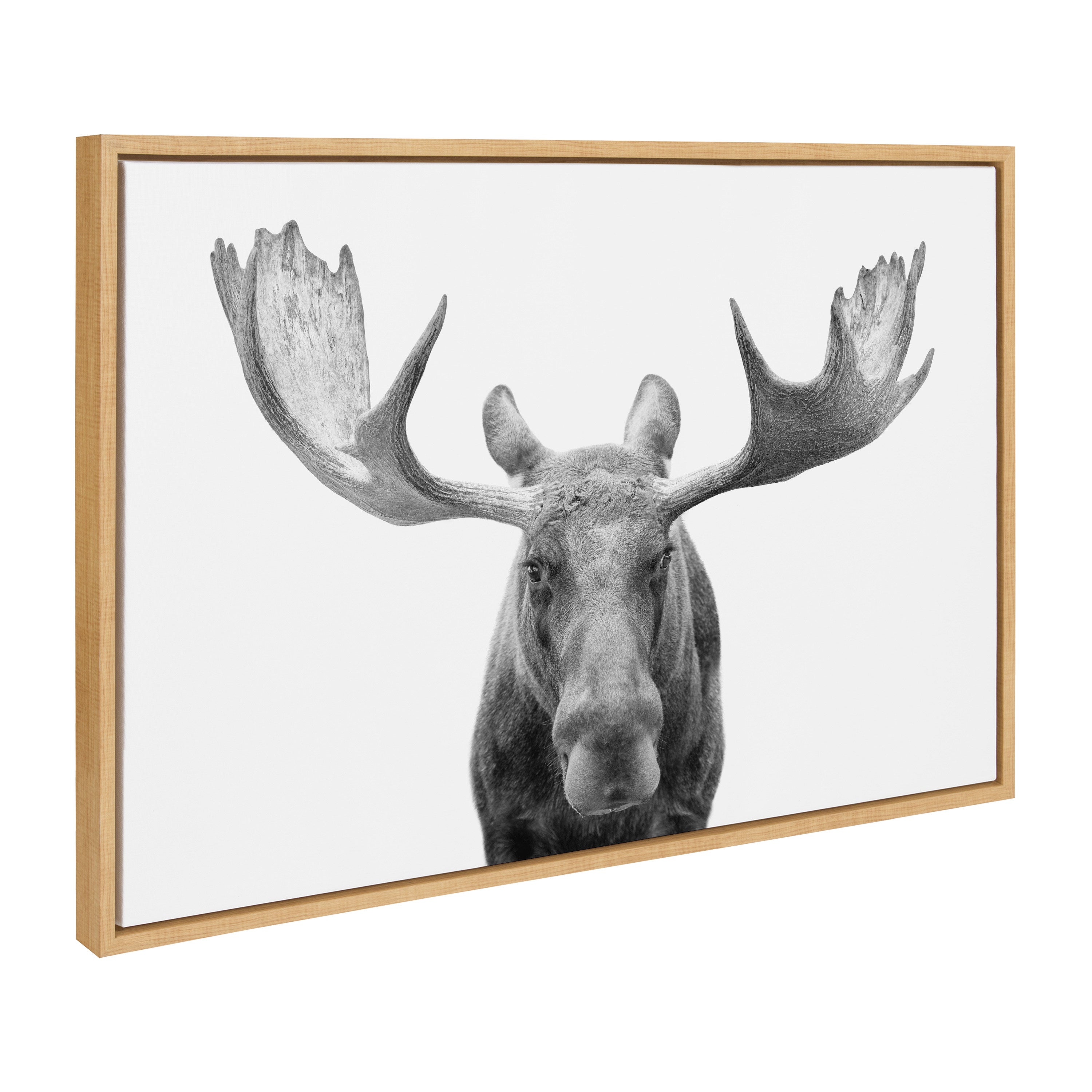 Sylvie Moose Black and White Framed Canvas by Amy Peterson Art Studio