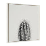 Sylvie Haze Cactus Succulent Tall Framed Canvas by kateandlaurel - product image 2 for Resin Society