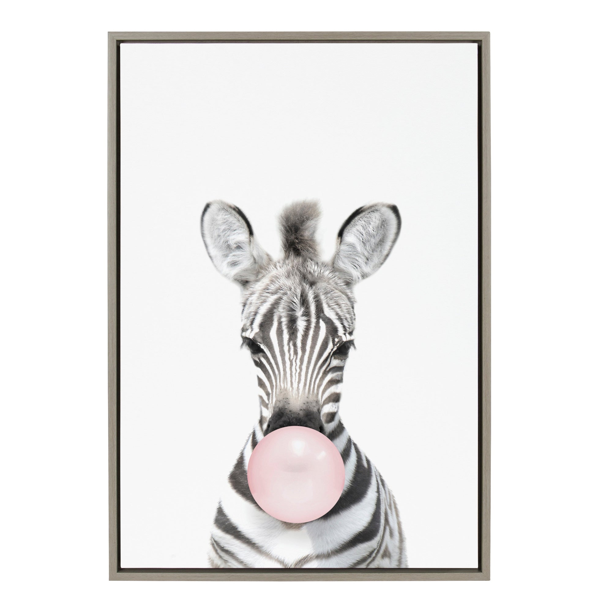 Sylvie Bubble Gum Zebra Framed Canvas by Amy Peterson Art Studio by kateandlaurel - main product image for Resin Society
