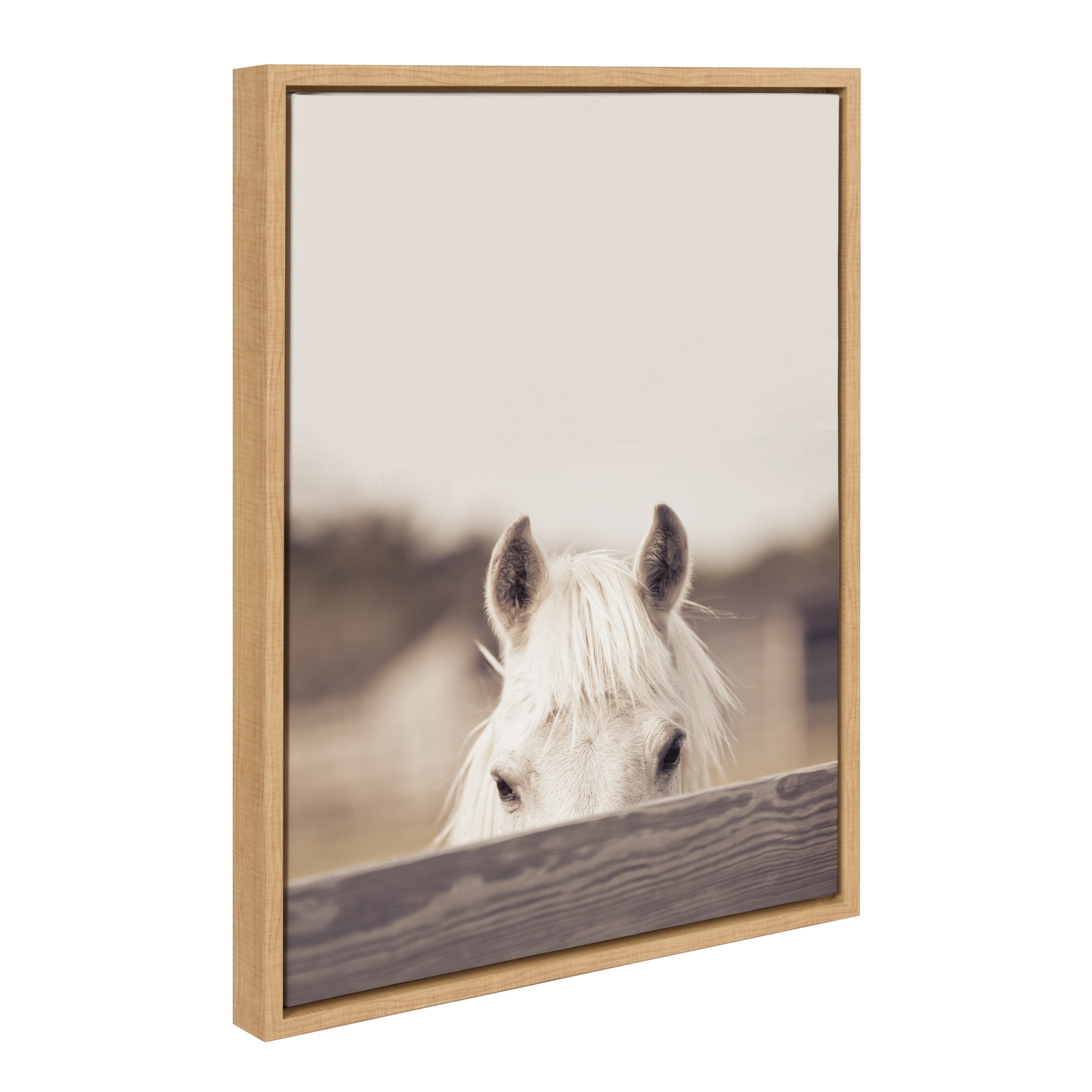 Sylvie Equine Framed Canvas by kateandlaurel - product image 2 for Resin Society