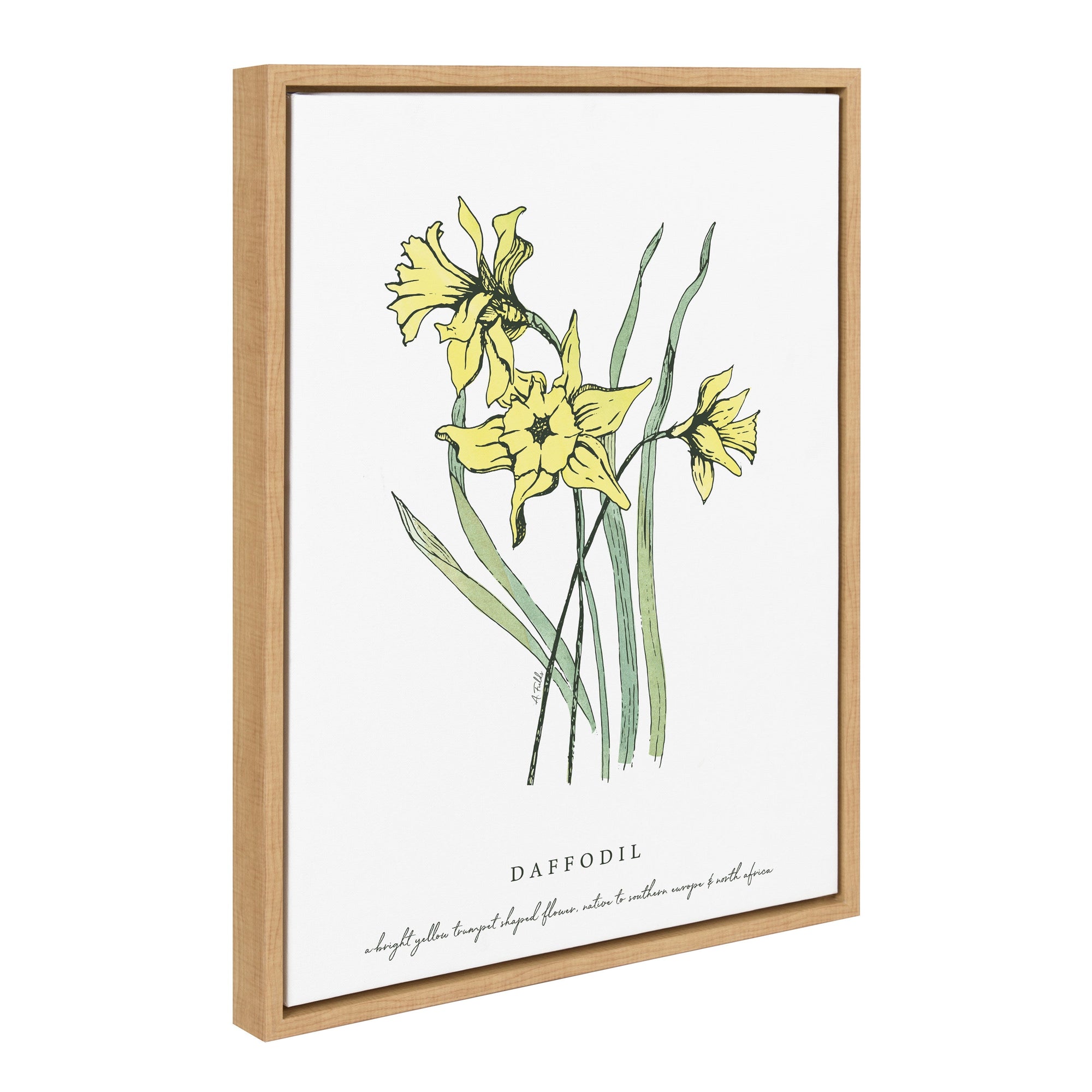 Sylvie Spring Daffodil Framed Canvas by kateandlaurel - main product image for Resin Society