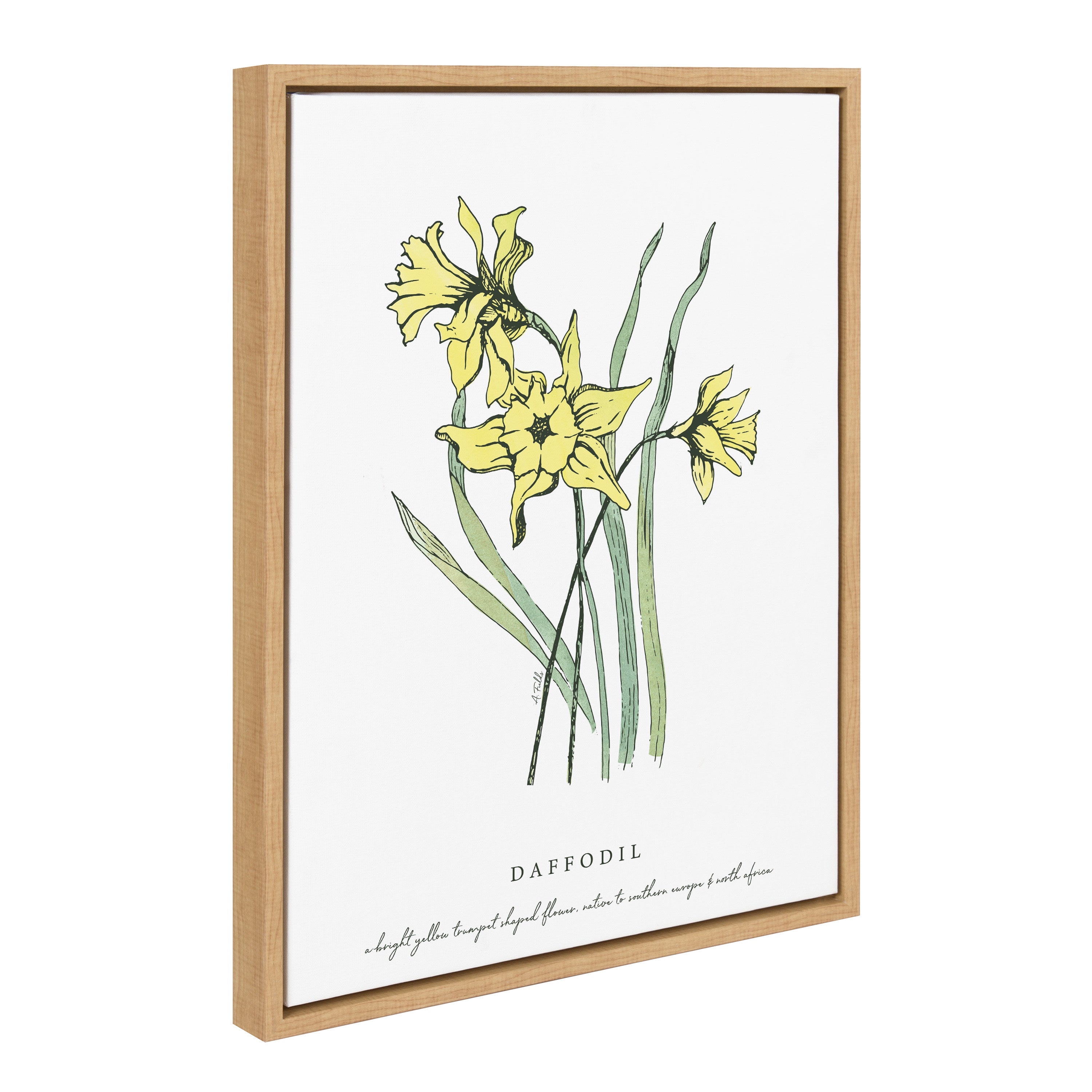 Sylvie Spring Daffodil Framed Canvas by kateandlaurel - main product image for Resin Society