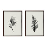 Sylvie Vintage Botanical 3 and 4 Framed Canvas Set by kateandlaurel - main product image for Resin Society
