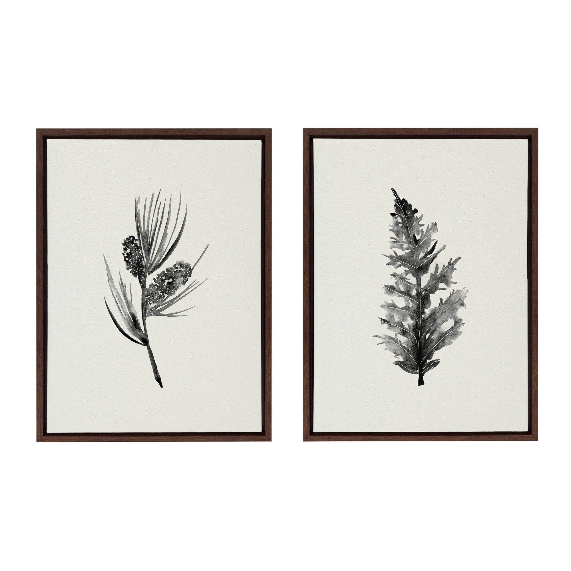 Sylvie Vintage Botanical 3 and 4 Framed Canvas Set by kateandlaurel - main product image for Resin Society