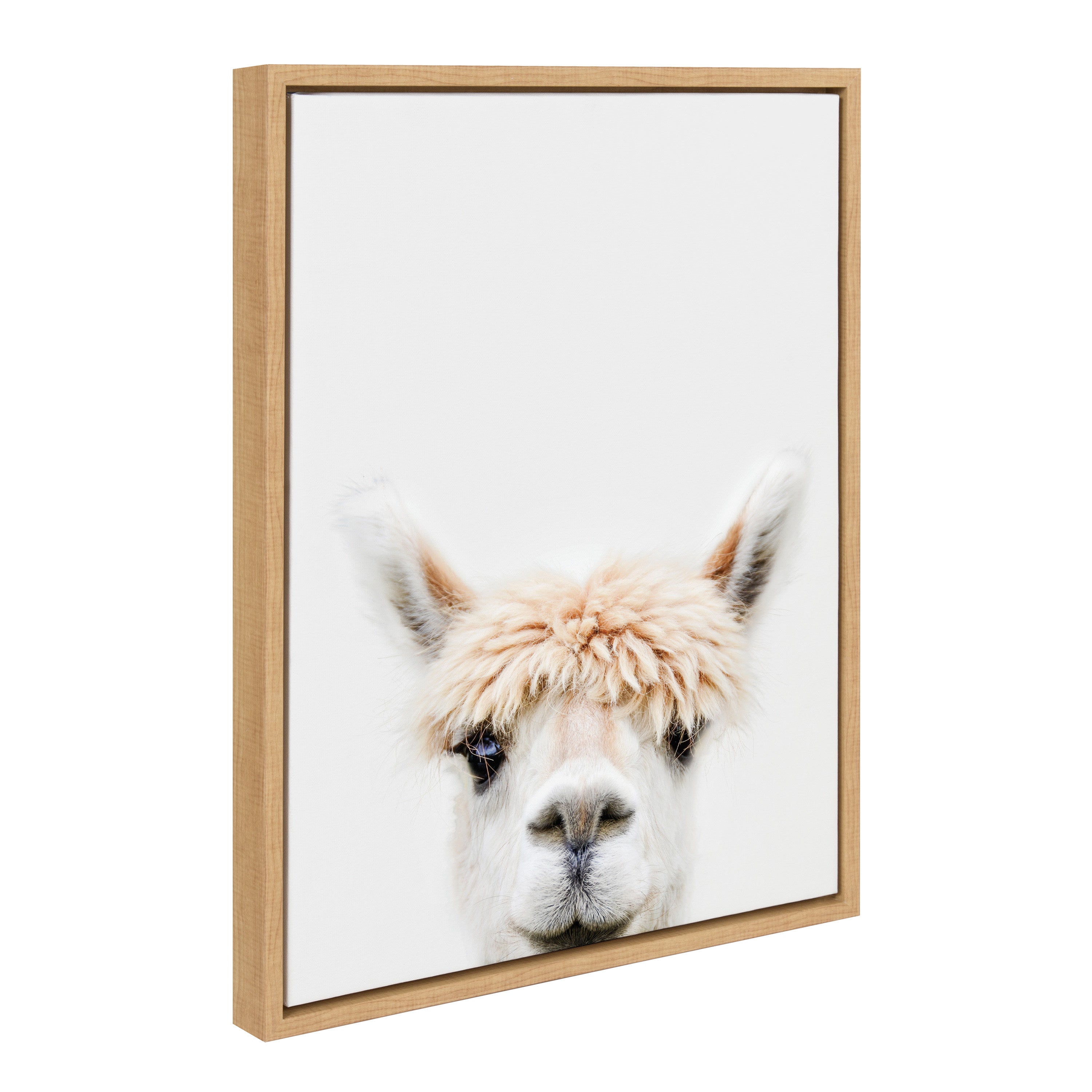 Sylvie Alpaca Bangs Framed Canvas by Amy Peterson Art Studio by kateandlaurel - product image 19 for Resin Society