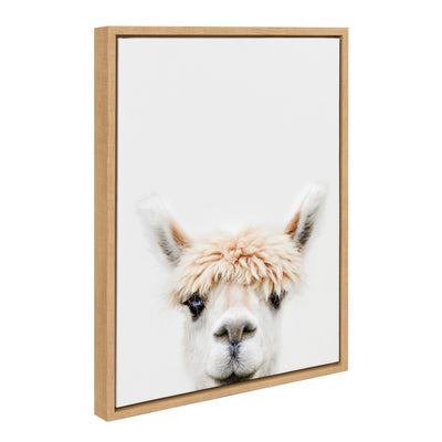 Sylvie Alpaca Bangs Framed Canvas by Amy Peterson Art Studio by kateandlaurel - product image 19 for Resin Society