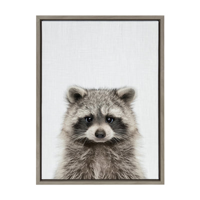 Sylvie Raccoon Color Framed Canvas by kateandlaurel - product image 8 for Resin Society