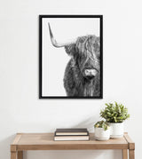 Black and white portrait of a Highland cow with a single visible horn and long shaggy hair partially covering its face in a simple black frame on a white wall.