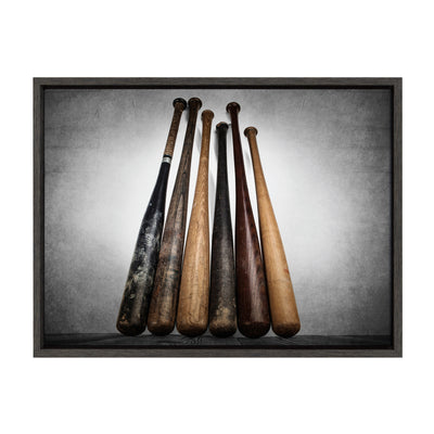 Sylvie Baseball Bats Framed Canvas by kateandlaurel - product image 9 for Resin Society