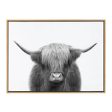 Black and white frontal portrait of a Highland cow with long shaggy hair covering its eyes and wide, curved horns extending outward, framed in light wood.