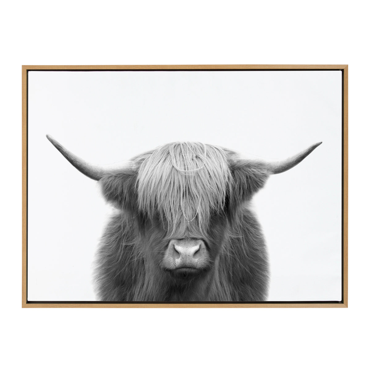 Black and white frontal portrait of a Highland cow with long shaggy hair covering its eyes and wide, curved horns extending outward, framed in light wood.