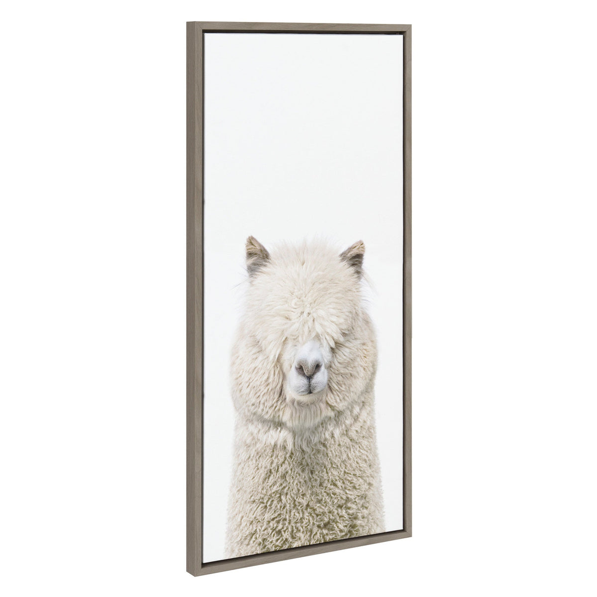 Sylvie Alpaca Fluff Framed Canvas by Amy Peterson Art Studio by kateandlaurel - product image 2 for Resin Society