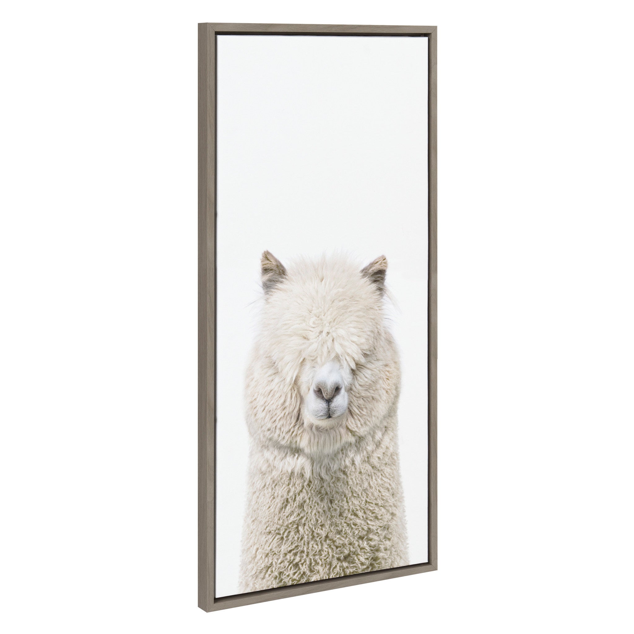 Sylvie Alpaca Fluff Framed Canvas by Amy Peterson Art Studio by kateandlaurel - product image 2 for Resin Society