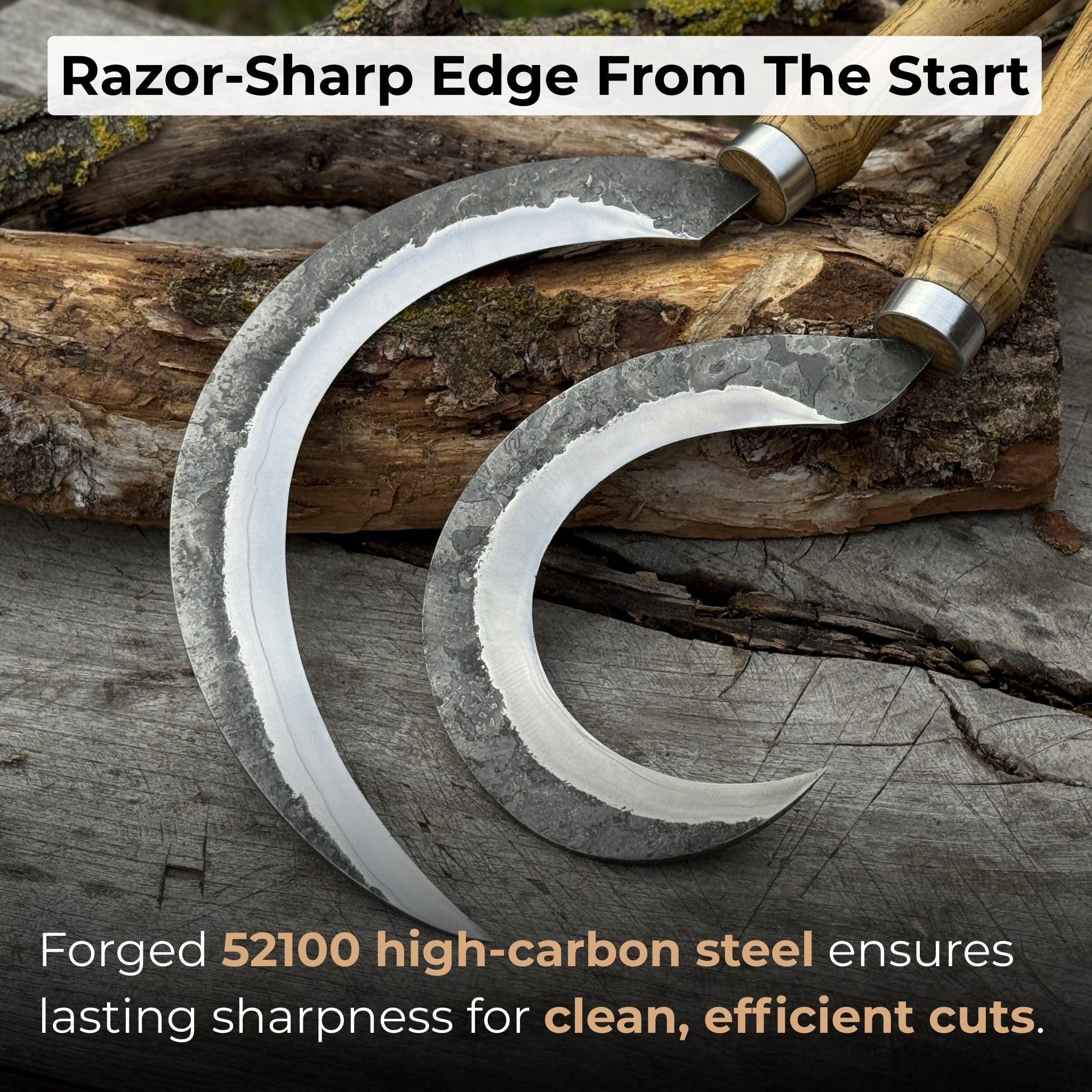 Hand-forged 2-piece sickle set with wooden handles and leather sheaths