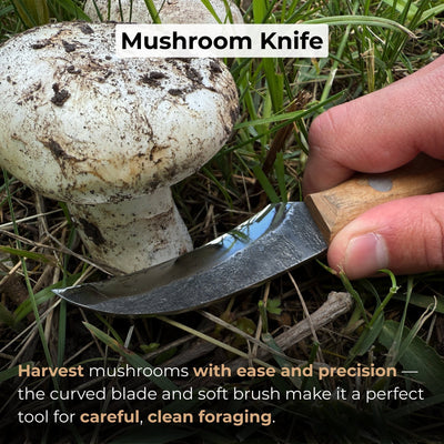 Hand-forged mushroom foraging knife with carbon steel blade, ash wood handle, built-in brush, and leather sheath