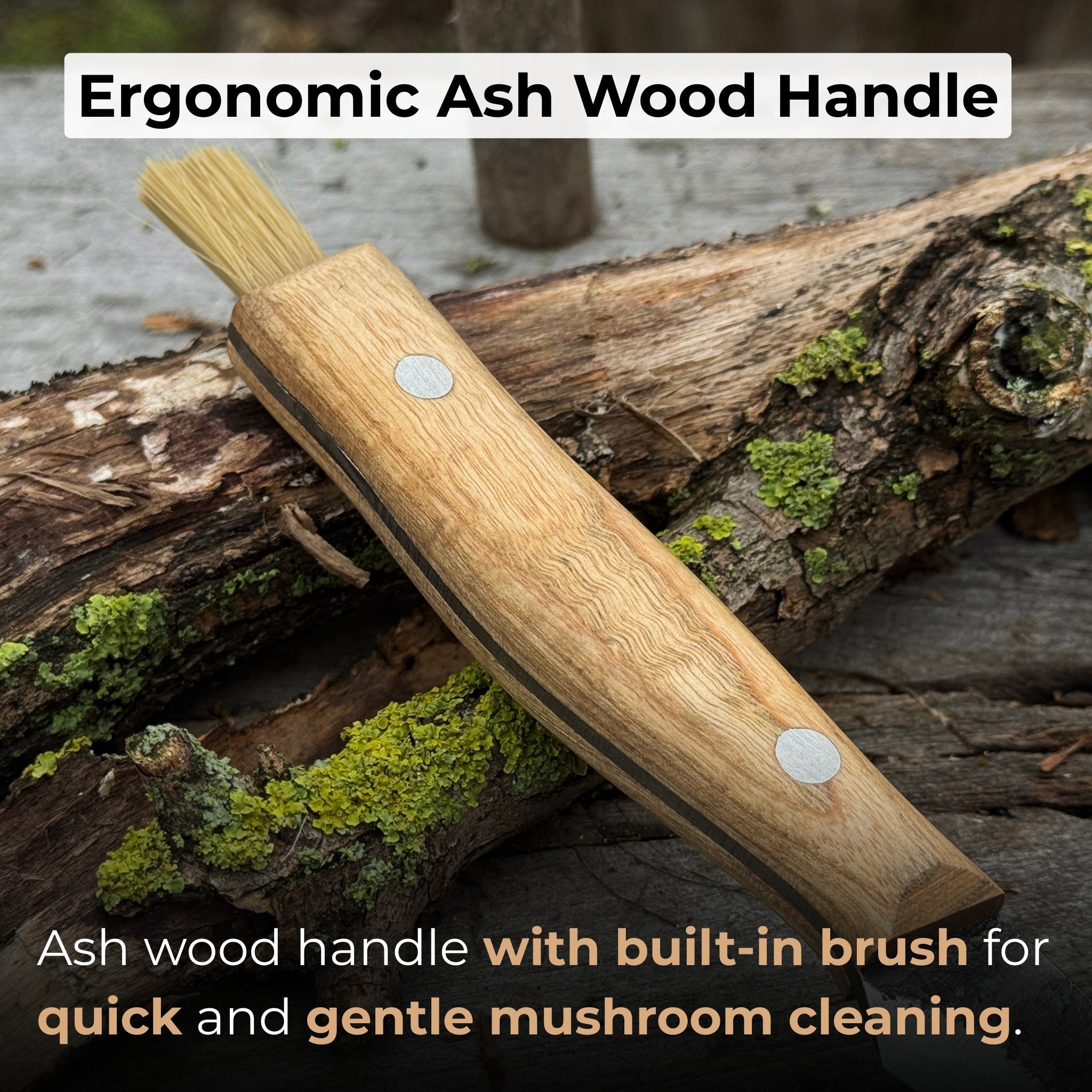 Hand-forged mushroom foraging knife with carbon steel blade, ash wood handle, built-in brush, and leather sheath