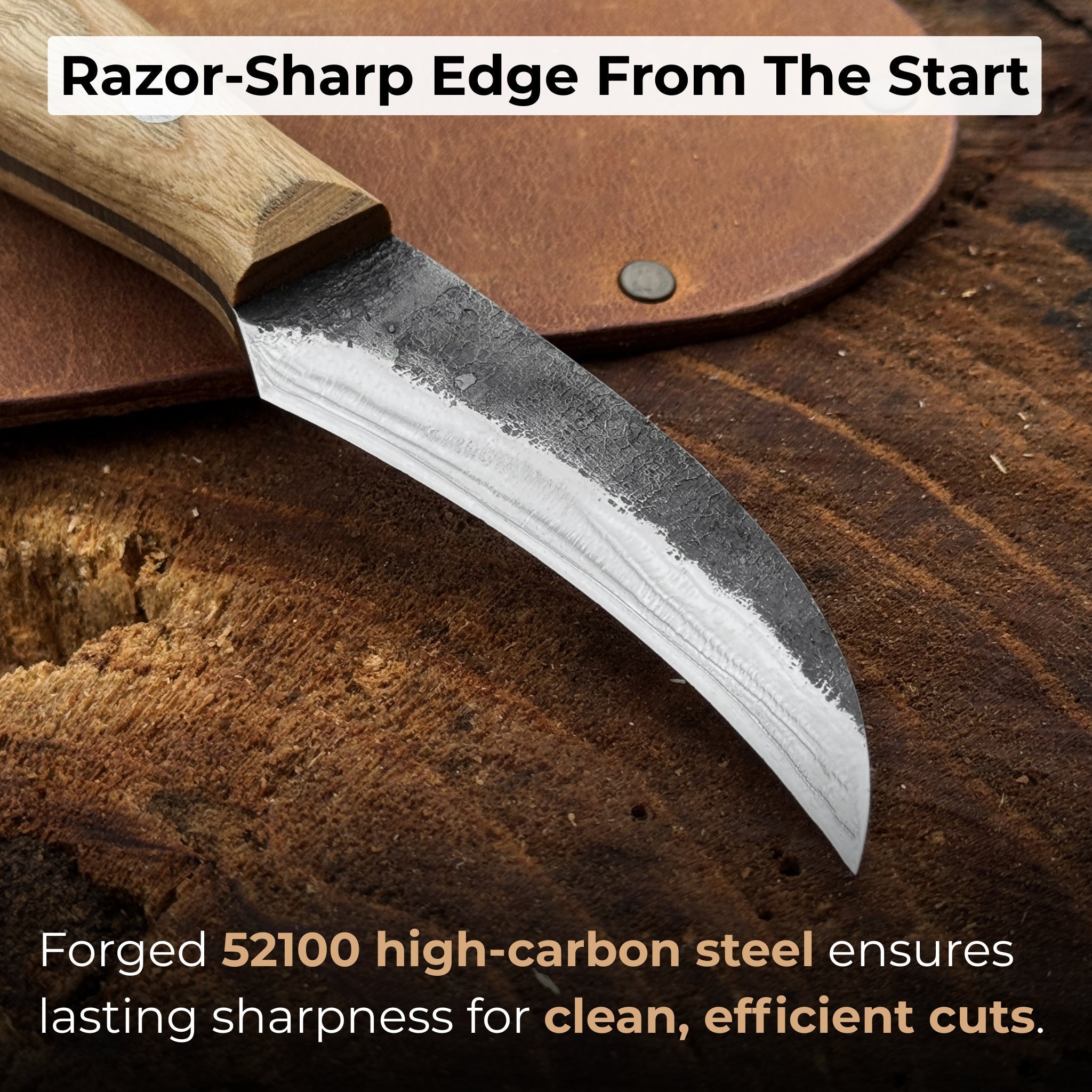 Hand-forged mushroom foraging knife with carbon steel blade, ash wood handle, built-in brush, and leather sheath
