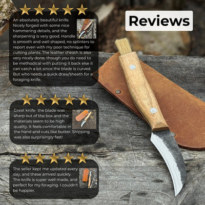 Hand-forged mushroom foraging knife with carbon steel blade, ash wood handle, built-in brush, and leather sheath