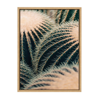 Sylvie Barrel Cactus Framed Canvas by Alicia Bock