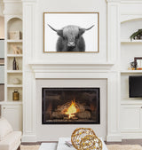 Black and white framed canvas of a Highland cow with long fur and wide horns above a lit fireplace in a white built-in shelving living room.