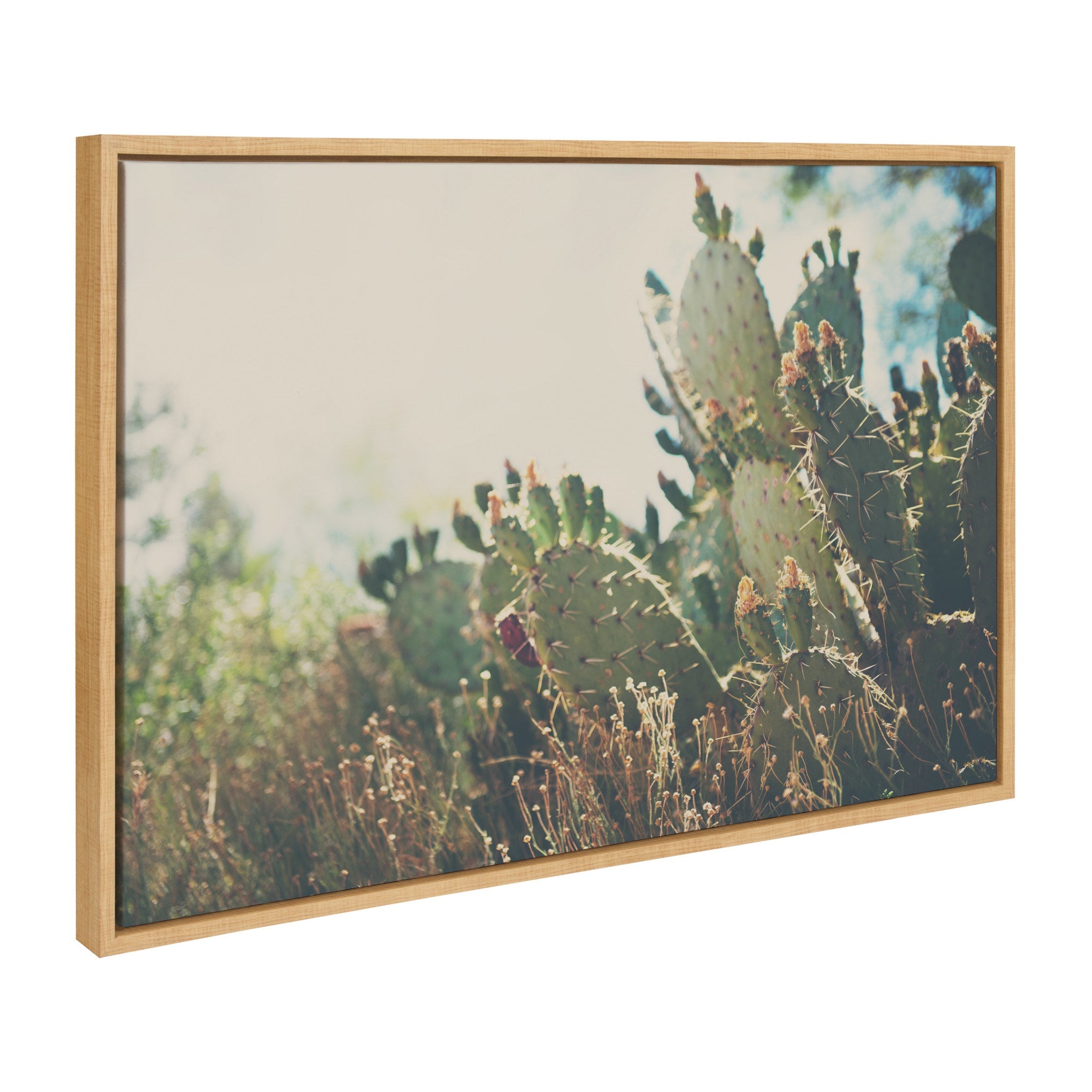 Sylvie A Desert Prickly Pear Cactus Framed Canvas by Laura Evans