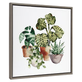 Sylvie Houseplants Framed Canvas by kateandlaurel - product image 2 for Resin Society