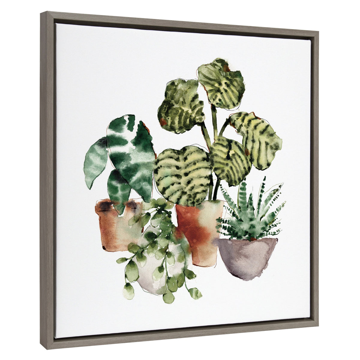 Sylvie Houseplants Framed Canvas by kateandlaurel - product image 2 for Resin Society