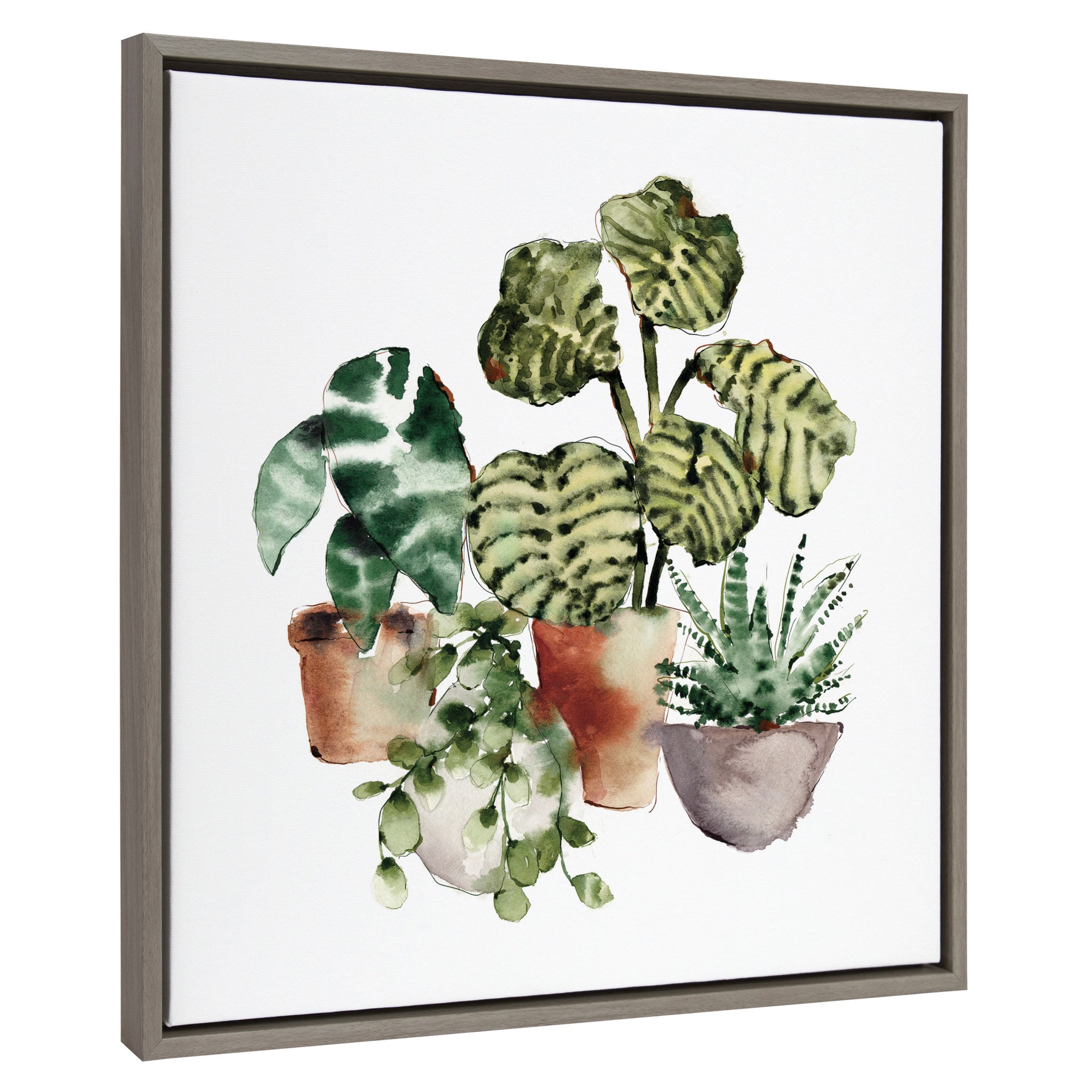 Sylvie Houseplants Framed Canvas by kateandlaurel - product image 2 for Resin Society