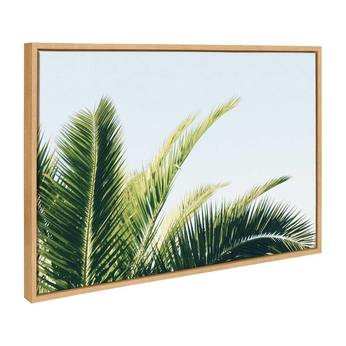 Sylvie Tropical Palm Under Blue Sky Framed Canvas by kateandlaurel - product image 2 for Resin Society