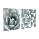 Soft Botanical Succulents by The Creative Bunch Studio by kateandlaurel - product image 10 for Resin Society