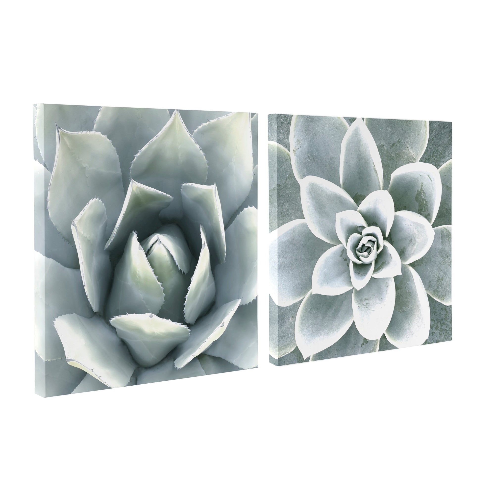 Soft Botanical Succulents by The Creative Bunch Studio by kateandlaurel - product image 10 for Resin Society