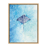 Sylvie Stingray Framed Canvas by kateandlaurel - product image 8 for Resin Society