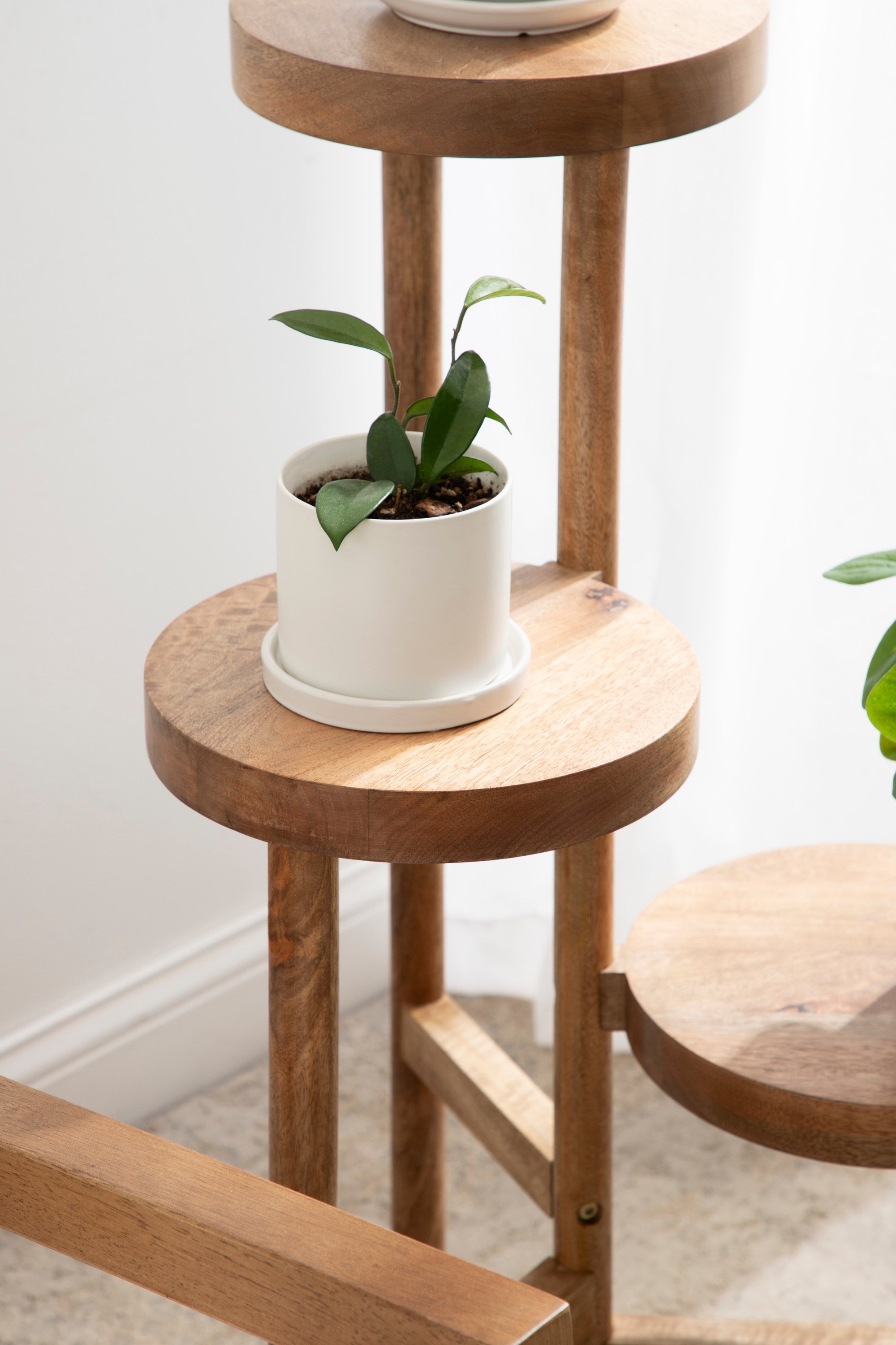 Fitley Wooden Plant Stand by kateandlaurel - product image 4 for Resin Society