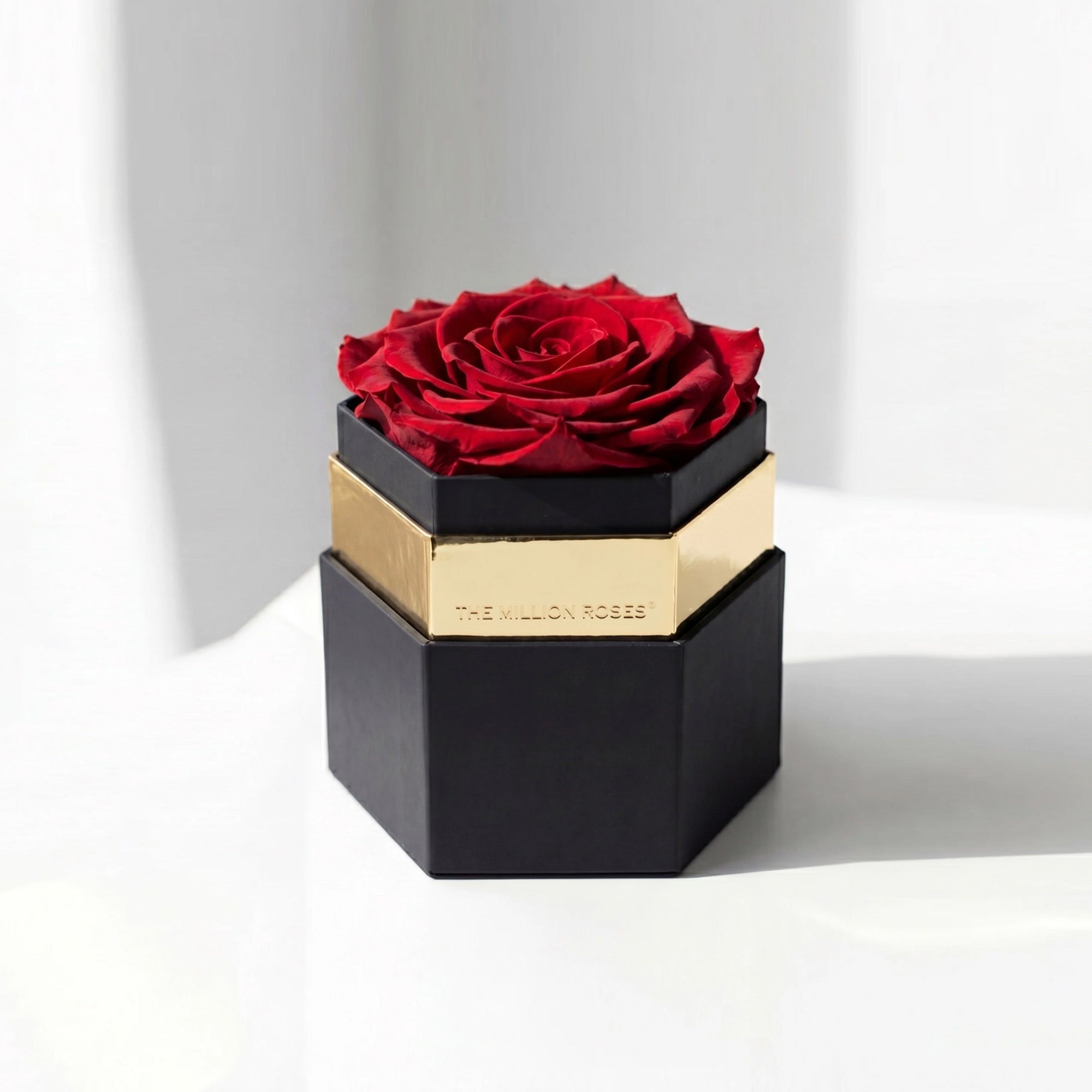 One in a Million™ Black Hexagon Box with a single large red rose inside