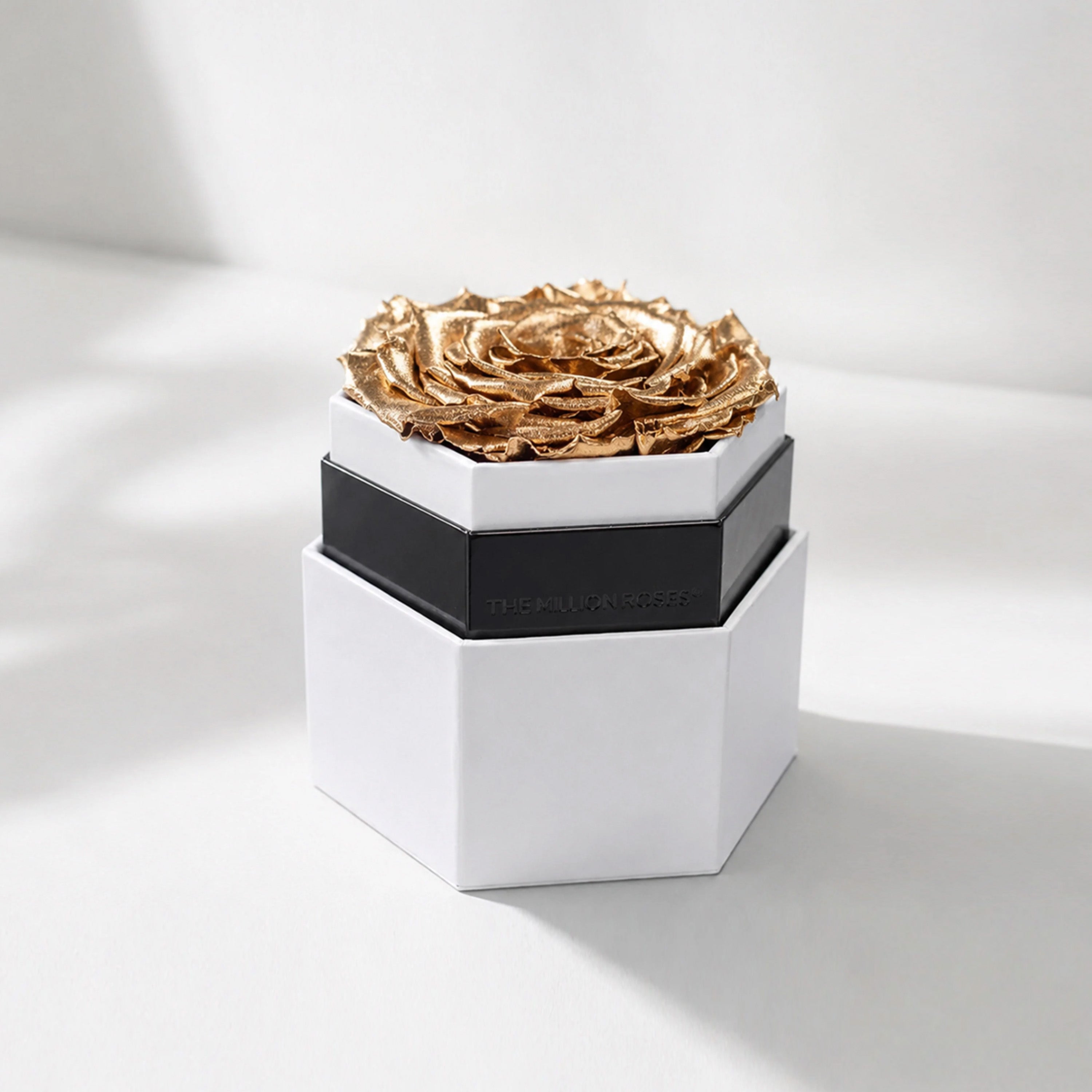 Gold rose inside a white hexagon box with clean geometric lines, photographed from above showing the rose centered within the box.