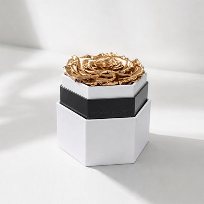 Gold rose inside a white hexagon box with clean geometric lines, photographed from above showing the rose centered within the box.