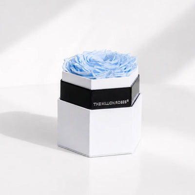 One in a Million White Hexagon Box featuring a single light blue rose