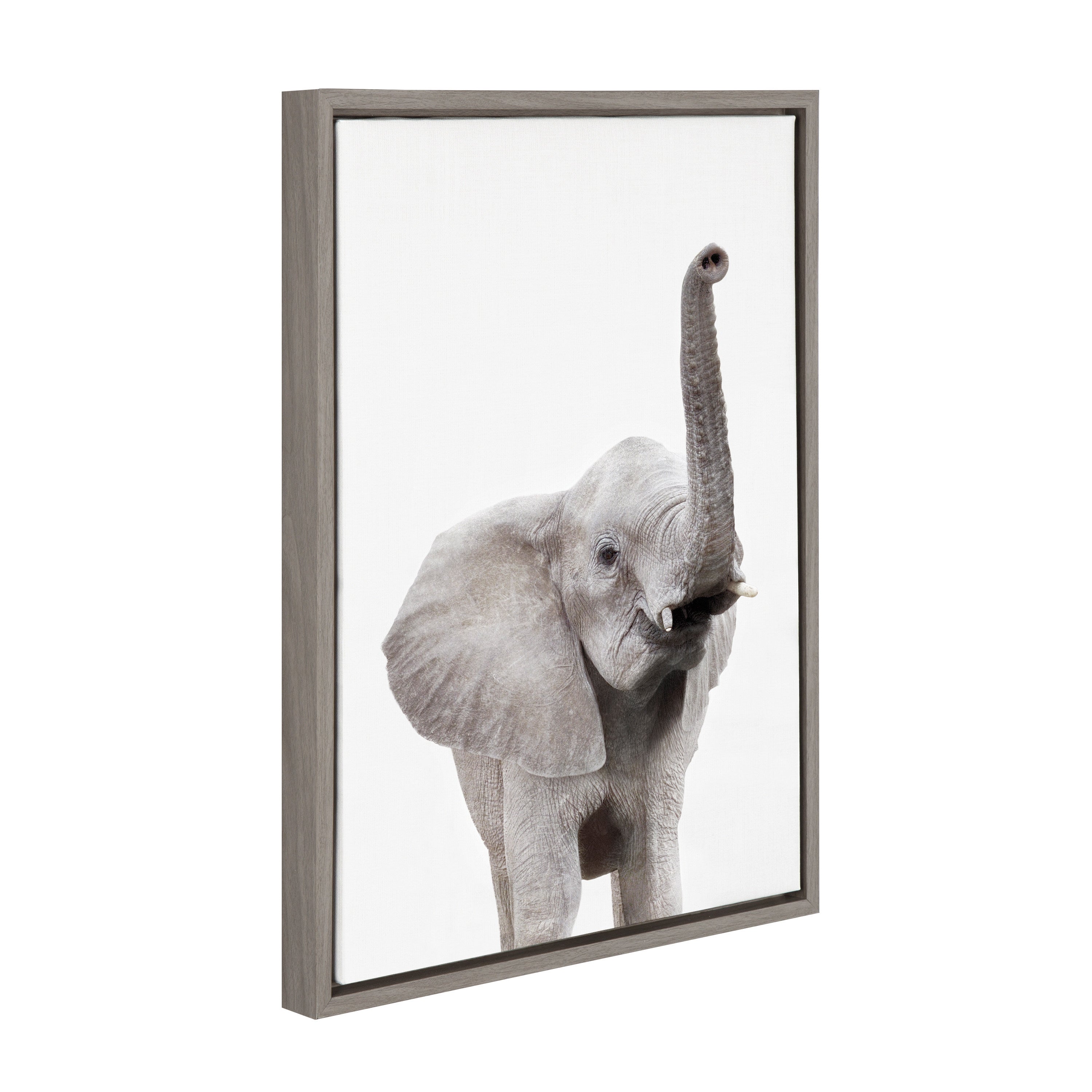 Sylvie Young Elephant Framed Canvas by Amy Peterson by kateandlaurel - product image 12 for Resin Society