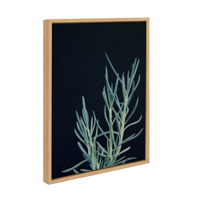 Sylvie Succulent 16 Framed Canvas by kateandlaurel - product image 2 for Resin Society