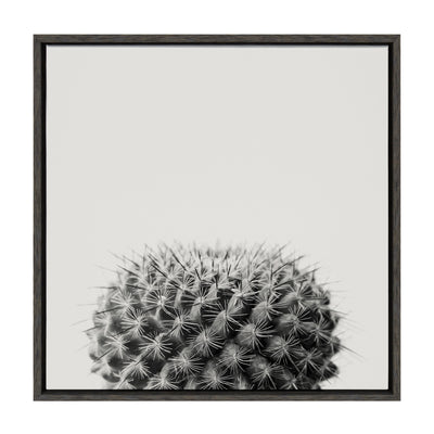 Sylvie Haze Succulent Cactus Short Framed Canvas by kateandlaurel - product image 10 for Resin Society