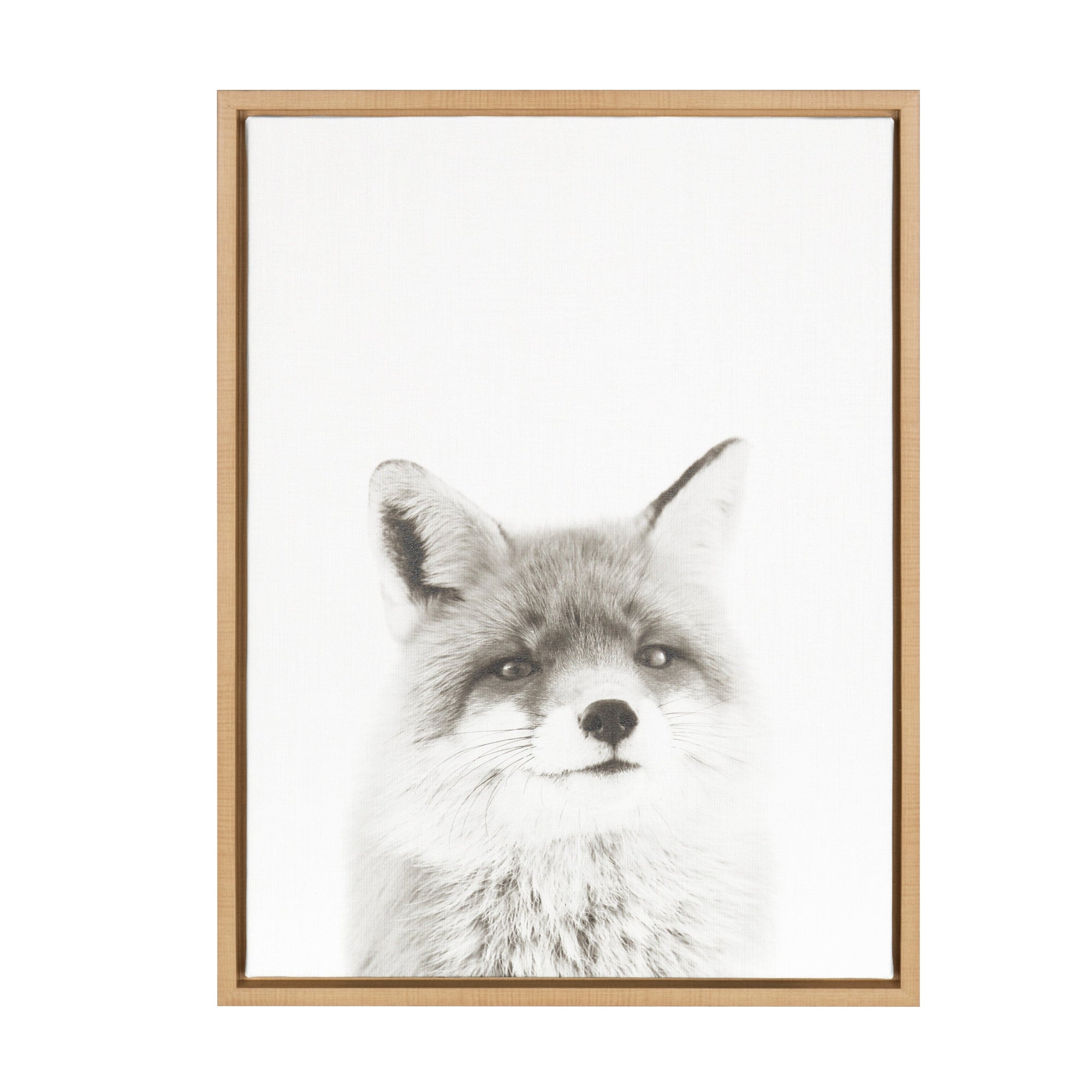 Sylvie Fox Portrait Framed Canvas by Simon Te Tai by kateandlaurel - main product image for Resin Society